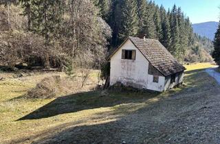 Haus kaufen in 9361 Sankt Salvator, Einzigartige Liegenschaft mit 4397 m², Bach und Wiese für Naturliebhaber - abbruchreifes Haus