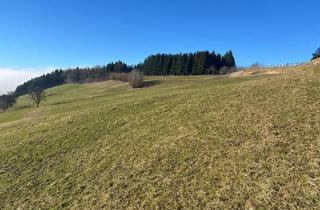 Agrarfläche kaufen in 3353 Seitenstetten, Landwirtschaftliche Fläche