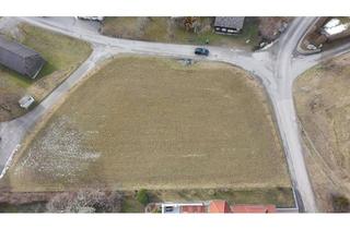 Grundstück zu kaufen in 3644 Hain, Bauland Agrar Gebiet in sonniger Lage