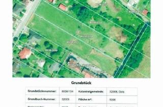 Grundstück zu kaufen in Sportplatzgasse - Gansl Anger, 7122 Gols, Großflächiges Baugrundstück in Gols beim Neusiedlersee (Provisionsfrei)