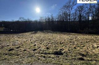 Grundstück zu kaufen in 2384 Breitenfurt bei Wien, Breitenfurt Ostende - großes Baugrundstück - direkte Waldrandlage am Wienerwald