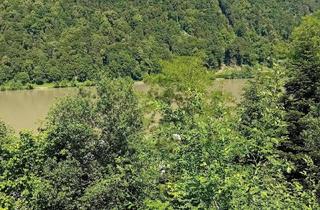 Haus kaufen in Wesenufer 70, 4085 Wesenufer, Großzügiges Anwesen mit unverbaubarem Donaublick, großem Grundstück & vielseitigem Nutzungspotenzial