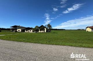 Grundstück zu kaufen in 5133 Gilgenberg am Weilhart, Grundstück in Gilgenberg, Ortsteil Ruderstallgassen