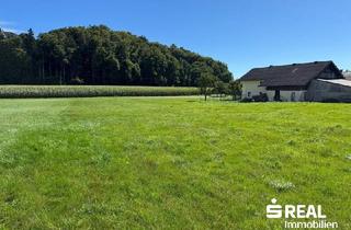 Grundstück zu kaufen in 5133 Gilgenberg am Weilhart, Grundstück in Gilgenberg, Ortsteil Ruderstallgassen
