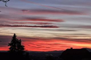 Immobilie kaufen in Autobahnabfahrt Schäffern, 8244 Schäffern, Stark sanierungsbedürftiger Bauernhof in ruhiger steiler Alleinlage zum Schnäppchenpreis!