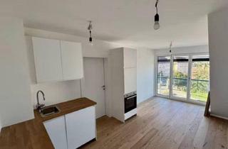 Wohnung mieten in Feldkellergasse 16, 1130 Wien, Erstbezug Dachgeschosswohnung mit Weitblick