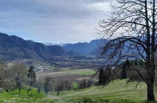 Immobilie mieten in Nähe Sittersdorf, 9133 Proboj, Pachtgrund