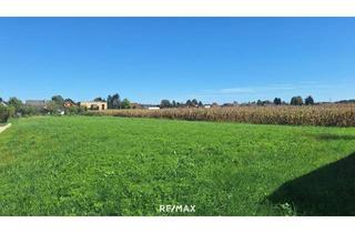 Grundstück zu kaufen in 8472 Straß in Steiermark, "Traumhafter komplett ebener Baugrund in Straß in der Südsteiermark"