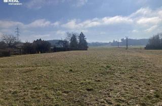 Grundstück zu kaufen in 3300 Amstetten, Baugrundstücke ohne Bauzwang in Amstetten