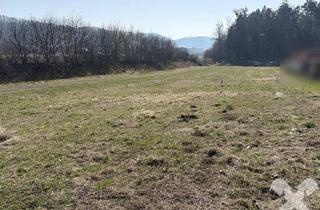 Grundstück zu kaufen in 8082 Kirchbach in Steiermark, Attraktives, leistbares Baugrundstück in Kirchbach/Steiermark