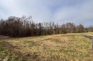 Grundstück zu kaufen in 4770 Andorf, XXL Grundstück in Andorf