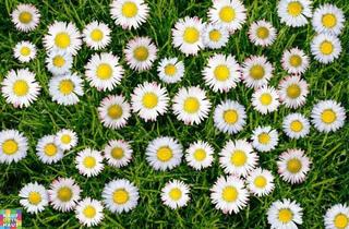 Wohnung mieten in Am Stadtgraben 7a, 3500 Krems an der Donau, NÄHE STEINER TOR - STADTGRABEN 7A!