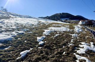Grundstück zu kaufen in 6173 Oberperfuss, Sonnenverwöhntes Baugrundstück mit 360°-Bergkulisse