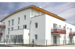 Wohnung mieten in Marktsiedlung 19/2, 2454 Trautmannsdorf an der Leitha, Betreutes Wohnen | Geförderte 2-Zimmer Gartenwohnung | ca. 53 m² | Erdgeschoss