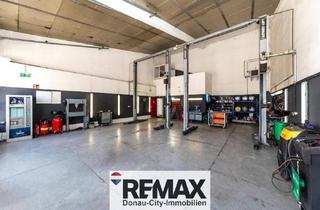 Büro zu mieten in 2201 Hagenbrunn, "Etablierte KFZ-Werkstatt mit Top-Kundenstock & Komplettausstattung nahe G3 zu vermieten!''