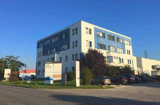 Büro zu mieten in 2351 Wiener Neudorf, Lagerfläche in Wiener Neudorf zu mieten!