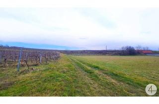 Grundstück zu kaufen in 3491 Straß im Straßertale, 2 Baugrundstücke sind noch verfügbar ohne Bauzwang