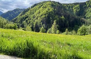 Grundstück zu kaufen in 8933 Sankt Gallen, Baugrundstück mit Panoramablick