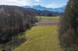 Grundstück zu kaufen in Augsdorferstraße, 9220 Augsdorf, Sonniges Baugrundstück mit Karawankenblick in Augsdorf bei Velden
