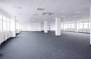 Büro zu mieten in 2351 Wiener Neudorf, Büro südlich von Wien in Wr. Neudorf