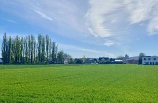 Grundstück zu kaufen in Schlossteich | Schlosspark, 2486 Pottendorf, POTTENDORF /// WOHNEN IN BESTER LAGE /// DREI BAUGRÜNDE AN PRIVATSTRASSE