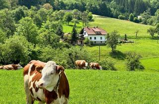 Einfamilienhaus kaufen in Erlebnisschwimmbad St. Paul, Burg Rabenstein, 9470 Granitztal-St. Paul, Platzwunder in St. Paul - Gepflegte Liegenschaft mit Charme