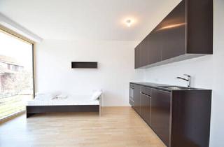 Wohnung mieten in 6845 Hohenems, Single Apartment im Zentrum von Hohenems ab 1. August