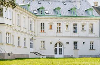 Maisonette mieten in 2500 Baden, *Neu sanierte / teils Erstbezugs-Wohnungen im Herzen von Baden, diverse Größen*