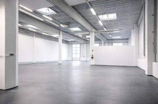 Büro zu mieten in 2351 Wiener Neudorf, Kombination Lagerhalle 350 m2 + Büro 220 m2 südlich von Wien, in Wr. Neudorf