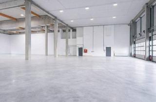 Büro zu mieten in 2351 Wiener Neudorf, Kombination Lagerhalle 350 m2 + Büro 300 m2 südlich von Wien, in Wr. Neudorf