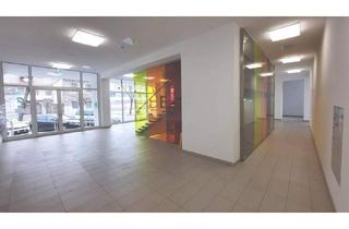 Geschäftslokal mieten in 3100 Sankt Pölten, ERSTBEZUG in 3100 St. Pölten - 370m² Gewerbefläche