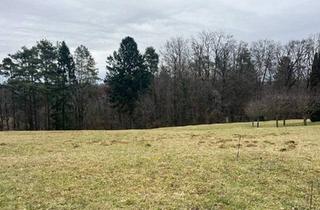 Grundstück zu kaufen in 8302 Nestelbach bei Graz, Baugrundstück in absoluter Ruhelage
