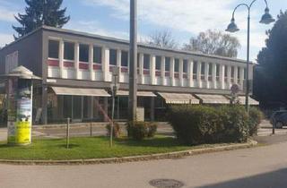 Büro zu mieten in Am Bindermichl, 4020 Linz, MARKT AM BINDERMICHL: Generalsanierte klimatisierte Büro-/Ordi-/Studiofläche mit bestem Preis-/Leistungsverhältnis - verschiedenste Aus-/Umbaumöglichkeiten - flexible Grundrissgestaltung - leistungsstarke Lüftungs- u. Klimaanlage