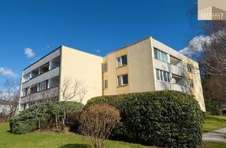 Wohnung kaufen in Emil Kraft-Gasse, 2500 Baden, Gut geschnittene 1-Zimmer-Wohnung mit Loggia und Entwicklungspotenzial