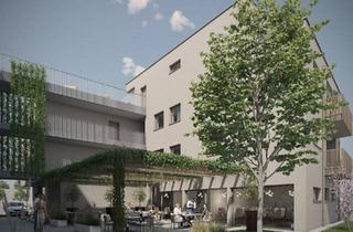 Wohnung mieten in Kremstalstraße, 4501 Neuhofen an der Krems, Neuhofen an der Krems – zentrale Kleinwohnung mit Tiefgaragenstellplatz!