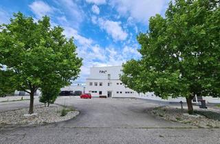 Büro zu mieten in Industriestraße 258, 2722 Weikersdorf am Steinfelde, 2 min zur A2: Lagerhalle, Produktion, Werkstätte