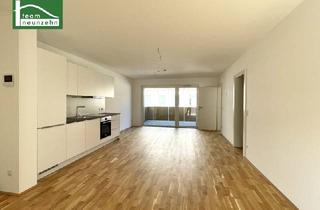 Penthouse kaufen in Taubergasse, 1170 Wien, Hochwertiger Wohnraum in Hernals – Vollständig vermietet!