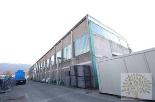 Büro zu mieten in Südring, 9020 Klagenfurt, Halle mit Parkflächen am Südring in Klagenfurt zu vermieten!