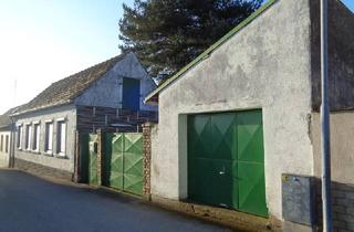 Haus kaufen in 2264 Jedenspeigen, Jedenspeigen: S - Bahnverbindung: Landhaus mit Nebengebäuden in ruhiger Lage