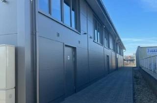 Büro zu mieten in 2231 Strasshof an der Nordbahn, Neuwertiges Hochregallager 112-226m² in Strasshof, Stellplatz, Schnellbahn-Nähe, 10€/m²