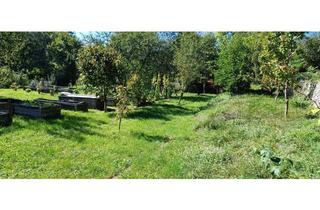 Grundstück zu kaufen in 2733 Grünbach am Schneeberg, Großer Baugrund in Grünbach am Schneeberg