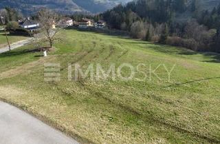 Grundstück zu kaufen in 5423 Taugl, Idyllischer Bauplatz in St. Koloman