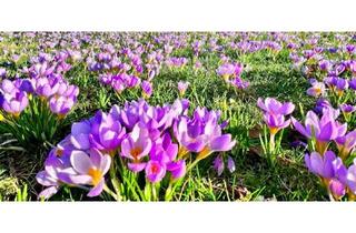 Wohnung mieten in 6134 Vomp, Sonnige 3-Zimmer-Dachterrassenwohnung mit Weitblick, Südseite