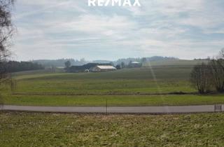 Grundstück zu kaufen in 4841 Ungenach, Großzügiges Grundstück in Sonniger Lage - Kein Bauzwang