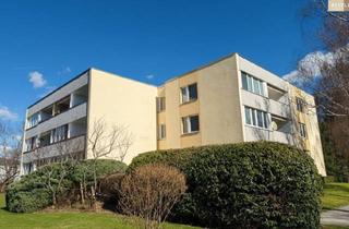 Wohnung kaufen in Emil Kraft-Gasse, 2500 Baden, Gut geschnittene 1-Zimmer-Wohnung mit Loggia und Entwicklungspotenzial