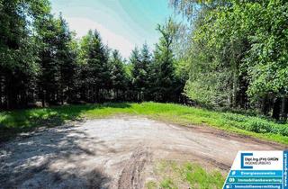 Gewerbeimmobilie kaufen in 4761 Enzenkirchen, Bestens bewirtschafteter Wald (ca. 2,56 ha) mit Top-Zufahrt & Holzlagerplatz