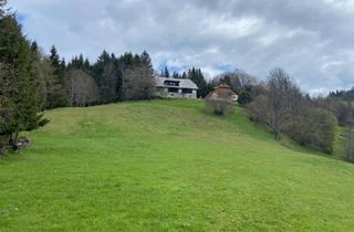 Bauernhäuser zu kaufen in Babenberg, 9360 Friesach, Landwirtschaft in Alleinlage Nähe Friesach