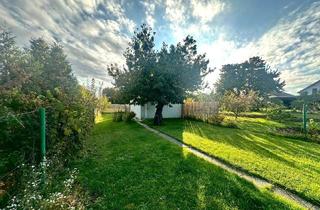 Haus kaufen in 2272 Ringelsdorf, Gepflegtes Landhaus mit einladender Atmosphäre!