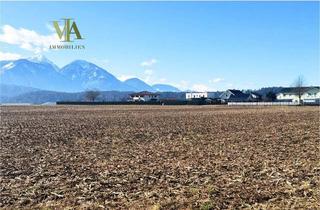 Grundstück zu kaufen in 9141 Eberndorf, Sonnige Baugrundstücke (Einzelverkauf möglich, insgesamt 38 Grundstücke, bis zu 7 Parzellen) im Bezirk Völkermarkt, Südkärnten