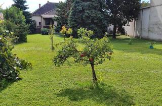 Einfamilienhaus kaufen in 7011 Siegendorf, Einfamilienhaus auf großem Grundstück in Siegendorf! Teilweise Sanierungsbedarf!